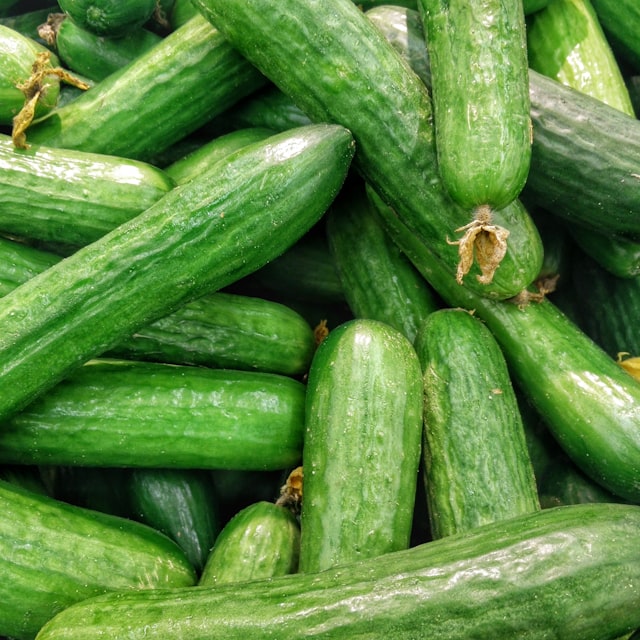 خیار گلخانه‌ای ورامین